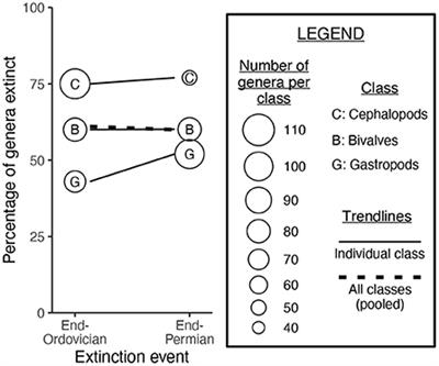 Examining paleobotanical databases: Revisiting trends in angiosperm folivory and unlocking the paleoecological promise of propensity score matching and specification curve analysis